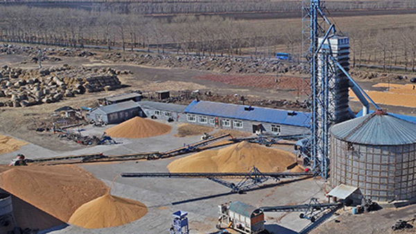 糧食烘干合作社如何做到年節(jié)省90萬(wàn)元？利民萬(wàn)佳鍋爐為您解析