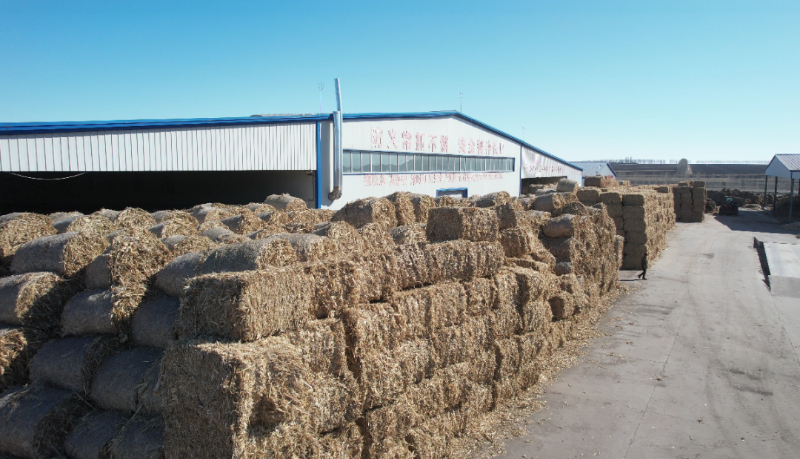 秸稈打捆直燃鍋爐燃料倉(cāng)儲(chǔ)